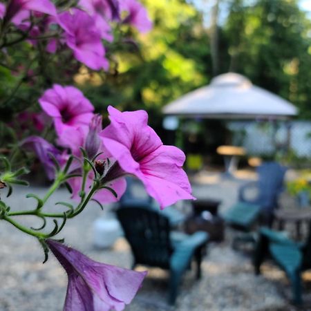 Grizzly Paw B&B Clearwater Ngoại thất bức ảnh